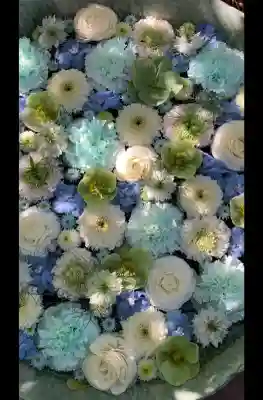 行田八幡神社の{uncategorized: "未分類", other: "その他", undefined: "問題あり", building: "その他建物", grave: "お墓", sacred_gate: "鳥居", guardian: "狛犬", statue: "像", buddha: "仏像", history: "歴史", nature: "自然", garden: "庭園", animal: "動物", pagoda: "塔", temizu: "手水舎", mountain_gate: "山門・神門", sanctuary: "本殿・本堂", subordinate: "末社・摂社", art: "芸術", scenery: "景色", jizo: "地蔵", ema: "絵馬", goshuin: "御朱印", omikuji: "おみくじ", items: "授与品その他", amulet: "お守り", goshuincho: "御朱印帳", eats: "食事", festival: "お祭り", votive_dance: "神楽", shichigosan: "七五三参", wedding: "結婚式", experience: "体験その他", initially: "初詣", around: "周辺", anti_infection: "感染症対策"}