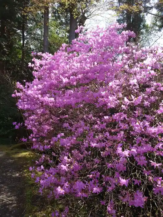 萩日吉神社(埼玉県)