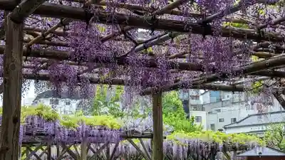 亀戸天神社(東京都)