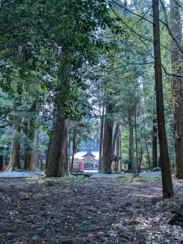 伊和神社の{uncategorized: "未分類", other: "その他", undefined: "問題あり", building: "その他建物", grave: "お墓", sacred_gate: "鳥居", guardian: "狛犬", statue: "像", buddha: "仏像", history: "歴史", nature: "自然", garden: "庭園", animal: "動物", pagoda: "塔", temizu: "手水舎", mountain_gate: "山門・神門", sanctuary: "本殿・本堂", subordinate: "末社・摂社", art: "芸術", scenery: "景色", jizo: "地蔵", ema: "絵馬", goshuin: "御朱印", omikuji: "おみくじ", items: "授与品その他", amulet: "お守り", goshuincho: "御朱印帳", eats: "食事", festival: "お祭り", votive_dance: "神楽", shichigosan: "七五三参", wedding: "結婚式", experience: "体験その他", initially: "初詣", around: "周辺", anti_infection: "感染症対策"}