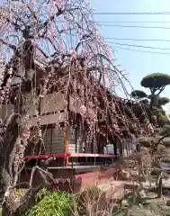 法輪寺(東京都)