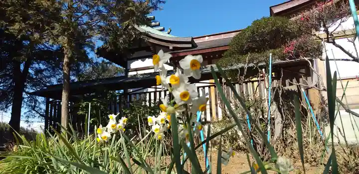 武蔵第六天神社の自然