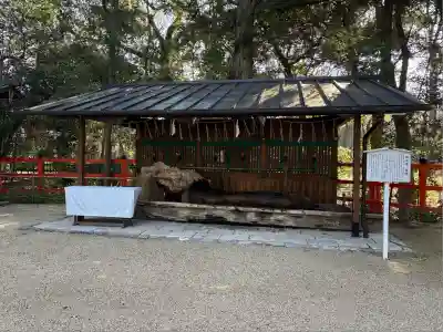 賀茂御祖神社（下鴨神社）(京都府)