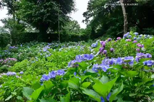 妙楽寺(神奈川県)