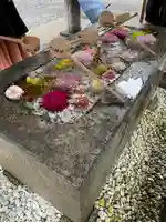 函館八幡宮の手水舎