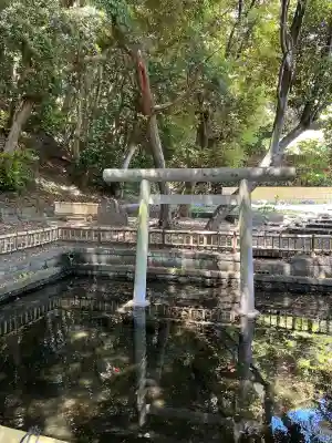 大洗磯前神社の{uncategorized: "未分類", other: "その他", undefined: "問題あり", building: "その他建物", grave: "お墓", sacred_gate: "鳥居", guardian: "狛犬", statue: "像", buddha: "仏像", history: "歴史", nature: "自然", garden: "庭園", animal: "動物", pagoda: "塔", temizu: "手水舎", mountain_gate: "山門・神門", sanctuary: "本殿・本堂", subordinate: "末社・摂社", art: "芸術", scenery: "景色", jizo: "地蔵", ema: "絵馬", goshuin: "御朱印", omikuji: "おみくじ", items: "授与品その他", amulet: "お守り", goshuincho: "御朱印帳", eats: "食事", festival: "お祭り", votive_dance: "神楽", shichigosan: "七五三参", wedding: "結婚式", experience: "体験その他", initially: "初詣", around: "周辺", anti_infection: "感染症対策"}