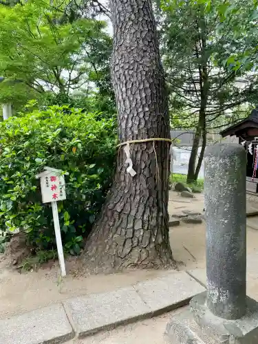 松先稲荷神社(千葉県)