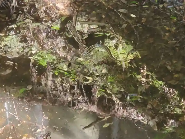 光明寺のその他建物