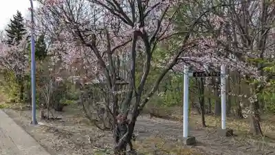 金刀比羅神宮の自然