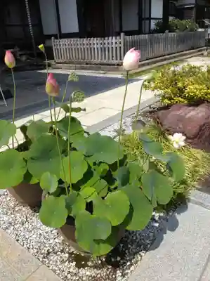 時宗総本山 遊行寺（正式：清浄光寺）(神奈川県)