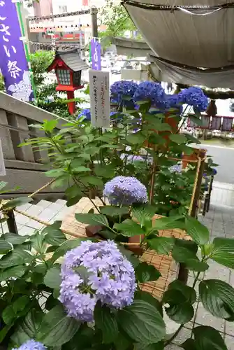 十番稲荷神社の自然