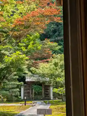 長壽寺(長寿寺)(神奈川県)