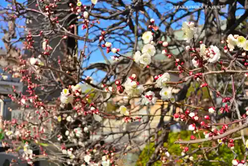 長泉寺(神奈川県)