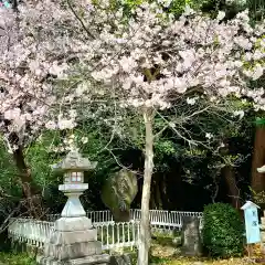 矢奈比賣神社（見付天神）の自然