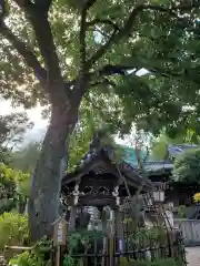 白山神社の庭園