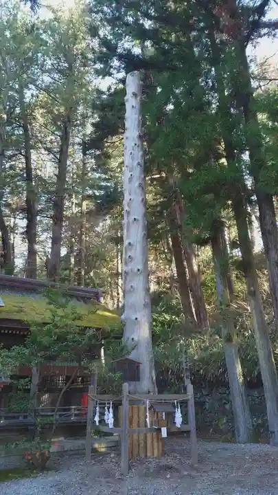 諏訪大社下社春宮の自然