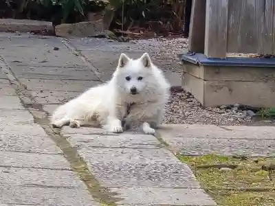 安立寺(京都府)