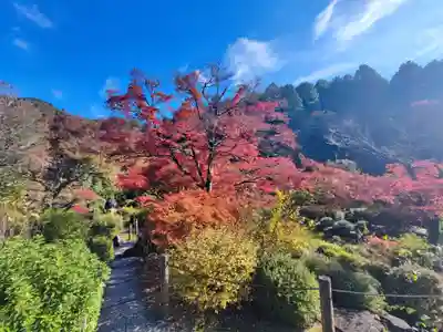 三室戸寺(京都府)