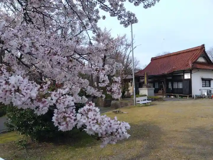 妙法寺(福井県)