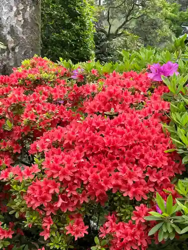 東長谷寺　薬王院(東京都)