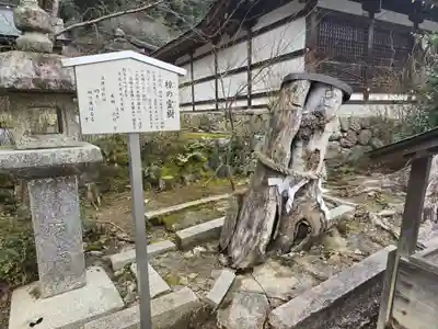 松尾大社(京都府)