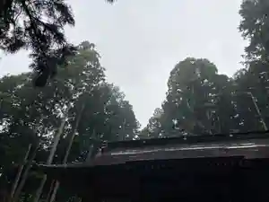 大宮温泉神社(栃木県)(2022年09月23日(金) 08時08分21秒投稿)