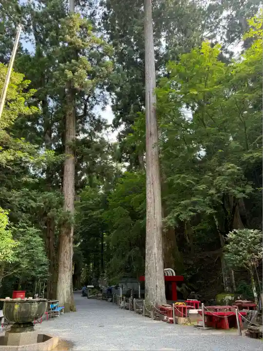 最乗寺(道了尊)(神奈川県)
