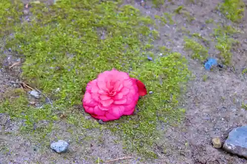 仙台八坂神社(宮城県)