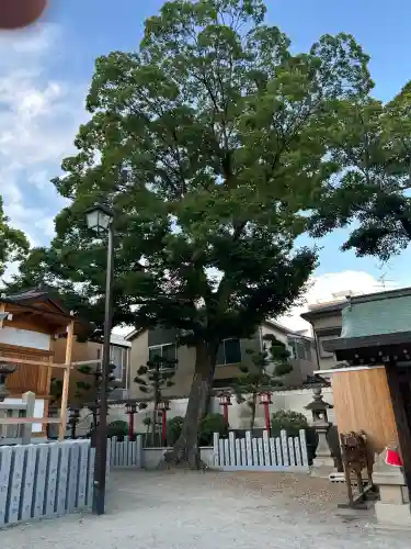 茨木神社(大阪府)
