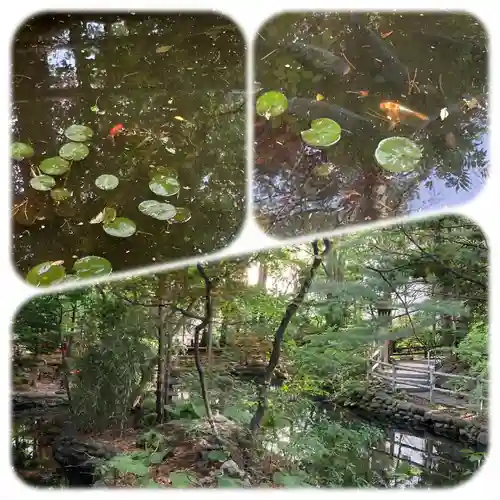 白石神社の庭園