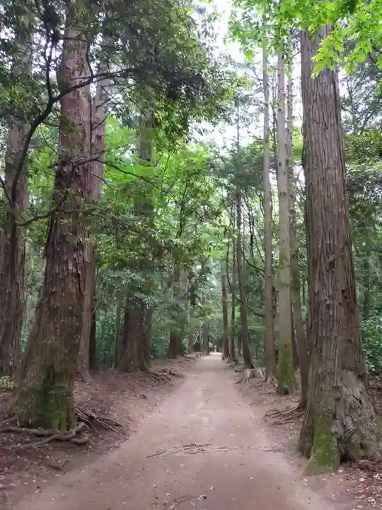 鹿島神宮の自然