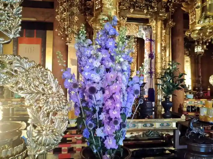 雨竜 専福寺(北海道)