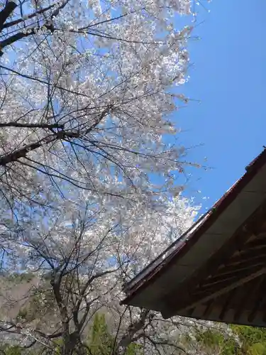 浄泉院(山梨県)