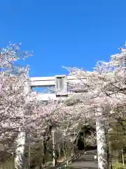 愛宕神社(茨城県)