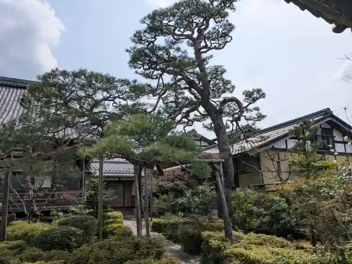 慶照寺の{uncategorized: "未分類", other: "その他", undefined: "問題あり", building: "その他建物", grave: "お墓", sacred_gate: "鳥居", guardian: "狛犬", statue: "像", buddha: "仏像", history: "歴史", nature: "自然", garden: "庭園", animal: "動物", pagoda: "塔", temizu: "手水舎", mountain_gate: "山門・神門", sanctuary: "本殿・本堂", subordinate: "末社・摂社", art: "芸術", scenery: "景色", jizo: "地蔵", ema: "絵馬", goshuin: "御朱印", omikuji: "おみくじ", items: "授与品その他", amulet: "お守り", goshuincho: "御朱印帳", eats: "食事", festival: "お祭り", votive_dance: "神楽", shichigosan: "七五三参", wedding: "結婚式", experience: "体験その他", initially: "初詣", around: "周辺", anti_infection: "感染症対策"}