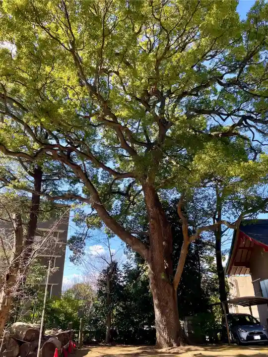 玉川神社(東京都)