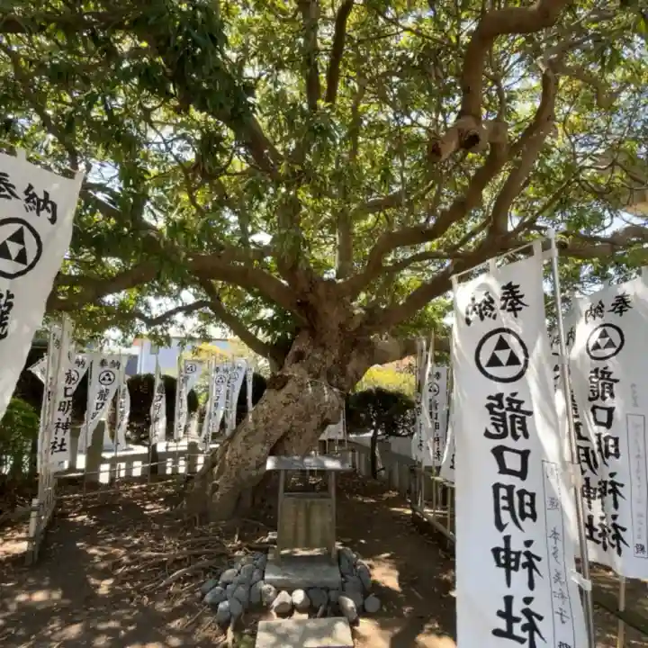 龍口明神社の{uncategorized: "未分類", other: "その他", undefined: "問題あり", building: "その他建物", grave: "お墓", sacred_gate: "鳥居", guardian: "狛犬", statue: "像", buddha: "仏像", history: "歴史", nature: "自然", garden: "庭園", animal: "動物", pagoda: "塔", temizu: "手水舎", mountain_gate: "山門・神門", sanctuary: "本殿・本堂", subordinate: "末社・摂社", art: "芸術", scenery: "景色", jizo: "地蔵", ema: "絵馬", goshuin: "御朱印", omikuji: "おみくじ", items: "授与品その他", amulet: "お守り", goshuincho: "御朱印帳", eats: "食事", festival: "お祭り", votive_dance: "神楽", shichigosan: "七五三参", wedding: "結婚式", experience: "体験その他", initially: "初詣", around: "周辺", anti_infection: "感染症対策"}