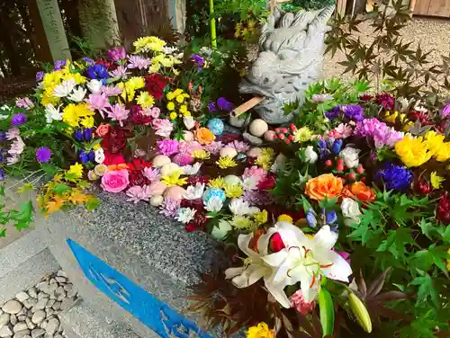 滑川神社 - 仕事と子どもの守り神の手水