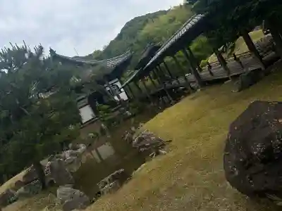 高台寺(高台寿聖禅寺・高臺寺)(京都府)