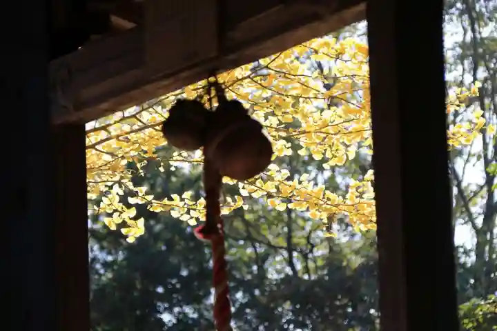 山神社の本殿・本堂