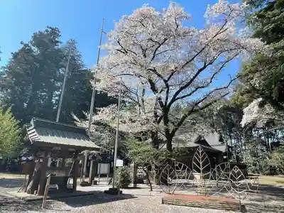 北野天神社(埼玉県)
