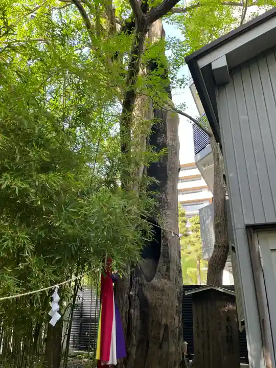 東神奈川熊野神社の{uncategorized: "未分類", other: "その他", undefined: "問題あり", building: "その他建物", grave: "お墓", sacred_gate: "鳥居", guardian: "狛犬", statue: "像", buddha: "仏像", history: "歴史", nature: "自然", garden: "庭園", animal: "動物", pagoda: "塔", temizu: "手水舎", mountain_gate: "山門・神門", sanctuary: "本殿・本堂", subordinate: "末社・摂社", art: "芸術", scenery: "景色", jizo: "地蔵", ema: "絵馬", goshuin: "御朱印", omikuji: "おみくじ", items: "授与品その他", amulet: "お守り", goshuincho: "御朱印帳", eats: "食事", festival: "お祭り", votive_dance: "神楽", shichigosan: "七五三参", wedding: "結婚式", experience: "体験その他", initially: "初詣", around: "周辺", anti_infection: "感染症対策"}