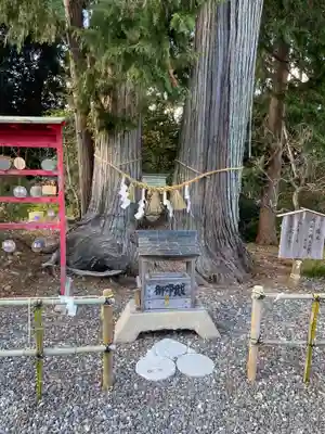矢奈比賣神社（見付天神）(静岡県)