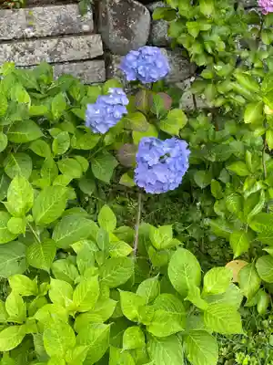久安寺(大阪府)