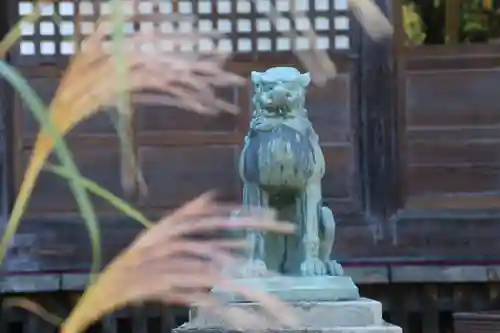 神炊館神社 ⁂奥州須賀川総鎮守⁂の狛犬