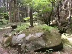 名草厳島神社の自然