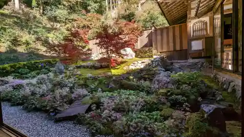 古知谷阿弥陀寺(京都府)