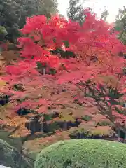 今熊野観音寺(京都府)