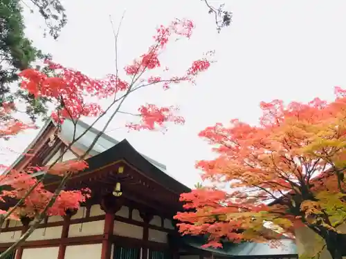 毛越寺の本殿・本堂