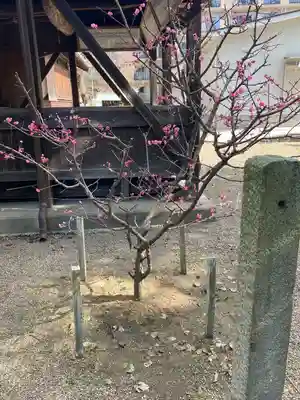 備後天満神社(兵庫県)